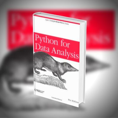 Python For Data Analysis PDF