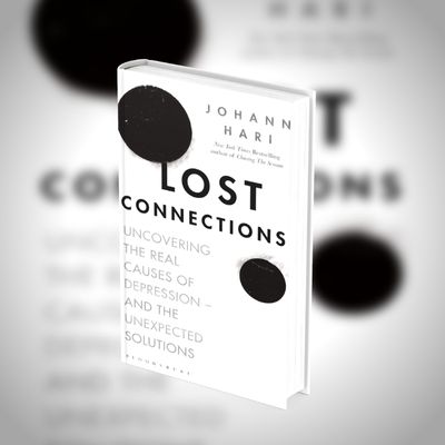 Johann Hari Lost Connections PDF