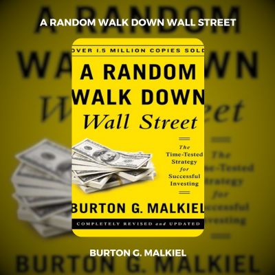 A Random Walk Down Wall Street PDF Download
