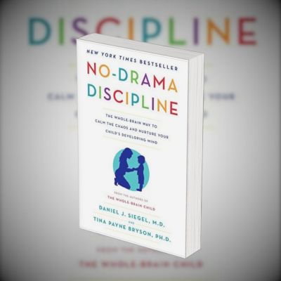 No Drama Discipline PDF